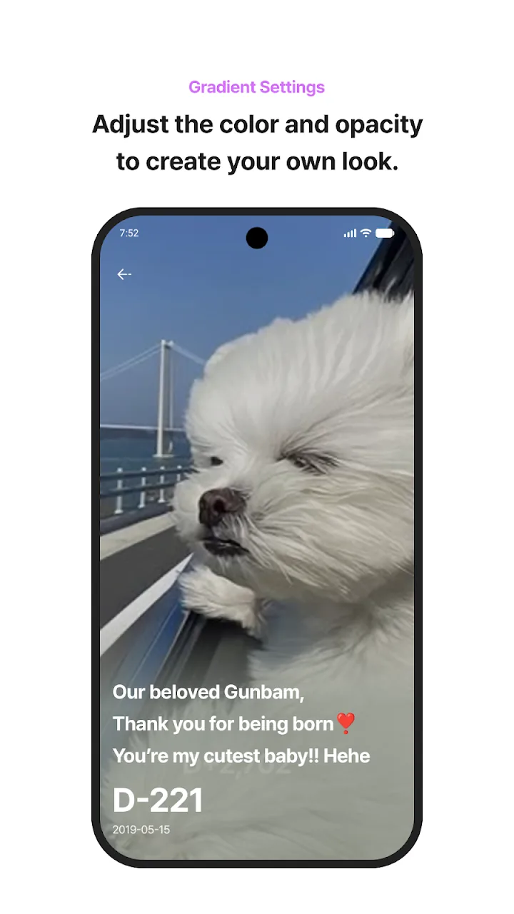 Dog wallpaper with a gradient applied