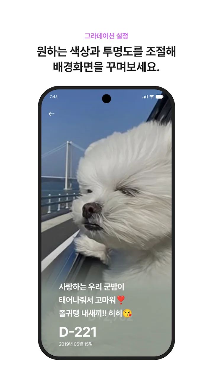 그라데이션을 적용한 강아지 배경화면