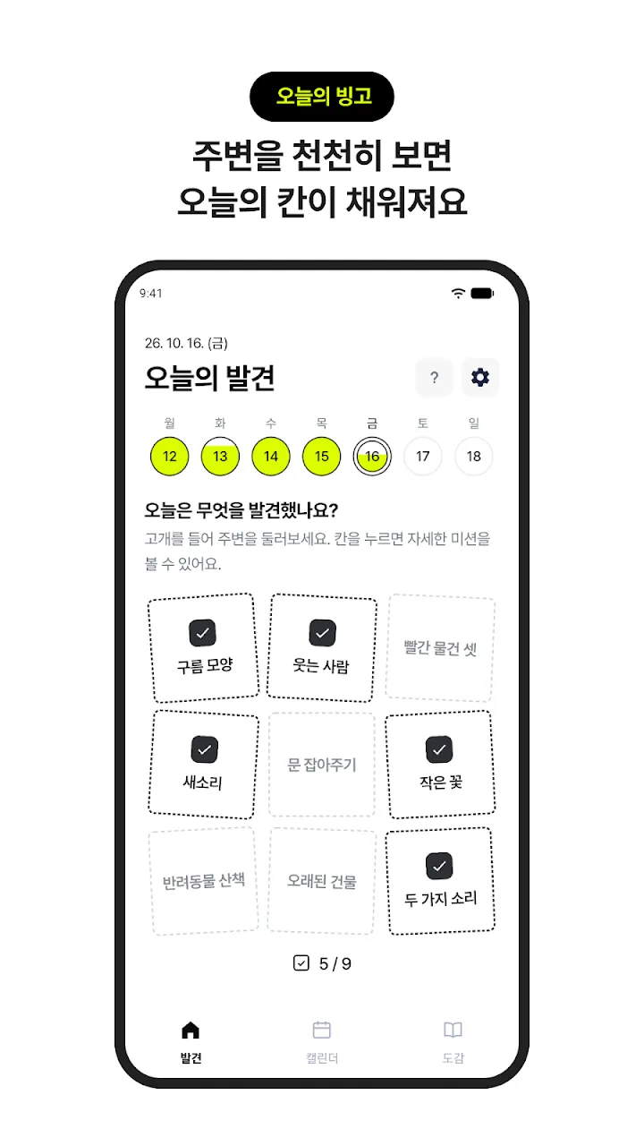 오늘의 관찰 빙고판과 미션 확인 화면