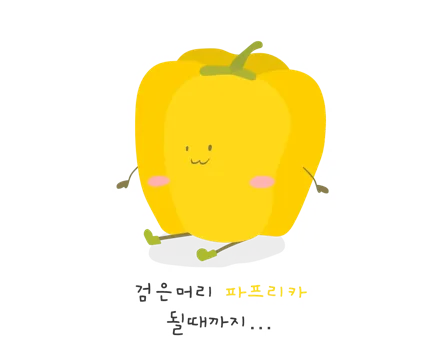 검은머리 파프리카 될때까지